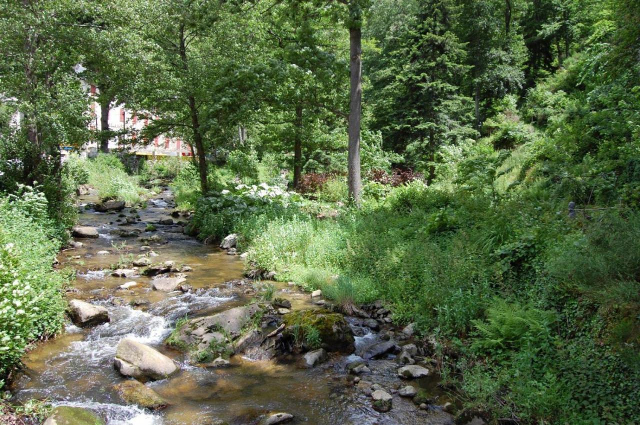Notre-Dame D'Escouloubre Sources D'Eaux Chaudes Privees Et Sauna المظهر الخارجي الصورة